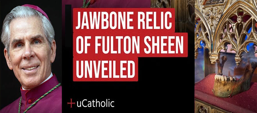 jawbone-relic-bfs